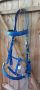 Halter Bridle in Gloss Royal Blue Biothane, Brass fittings Cob Size - SALE